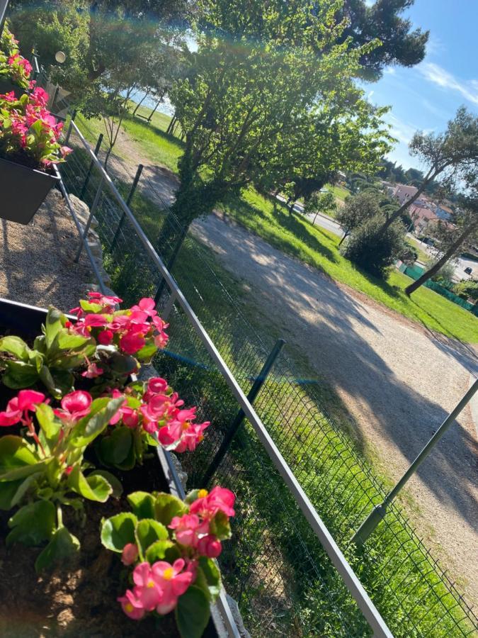 Mobile Home Biondina Camp Porton Nature Hideouts Ровинь Экстерьер фото
